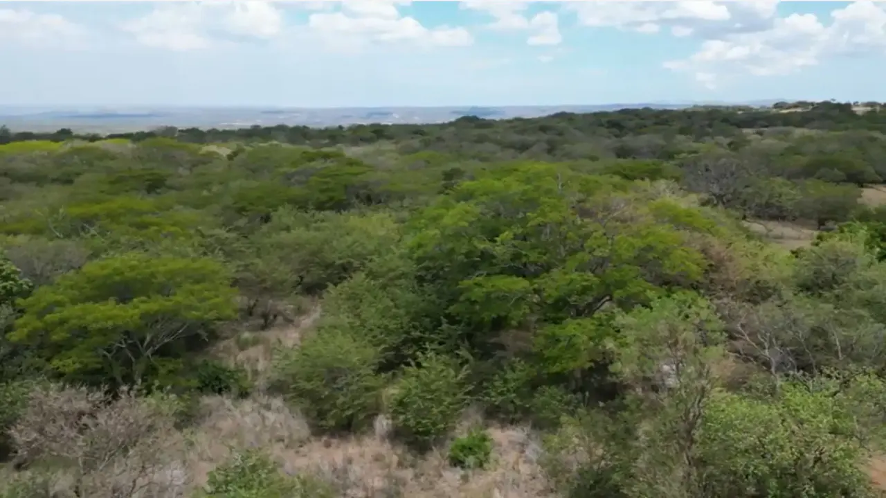 6.5 Hectare Lot with Private Access and Panoramic Views in Guanacaste - 2