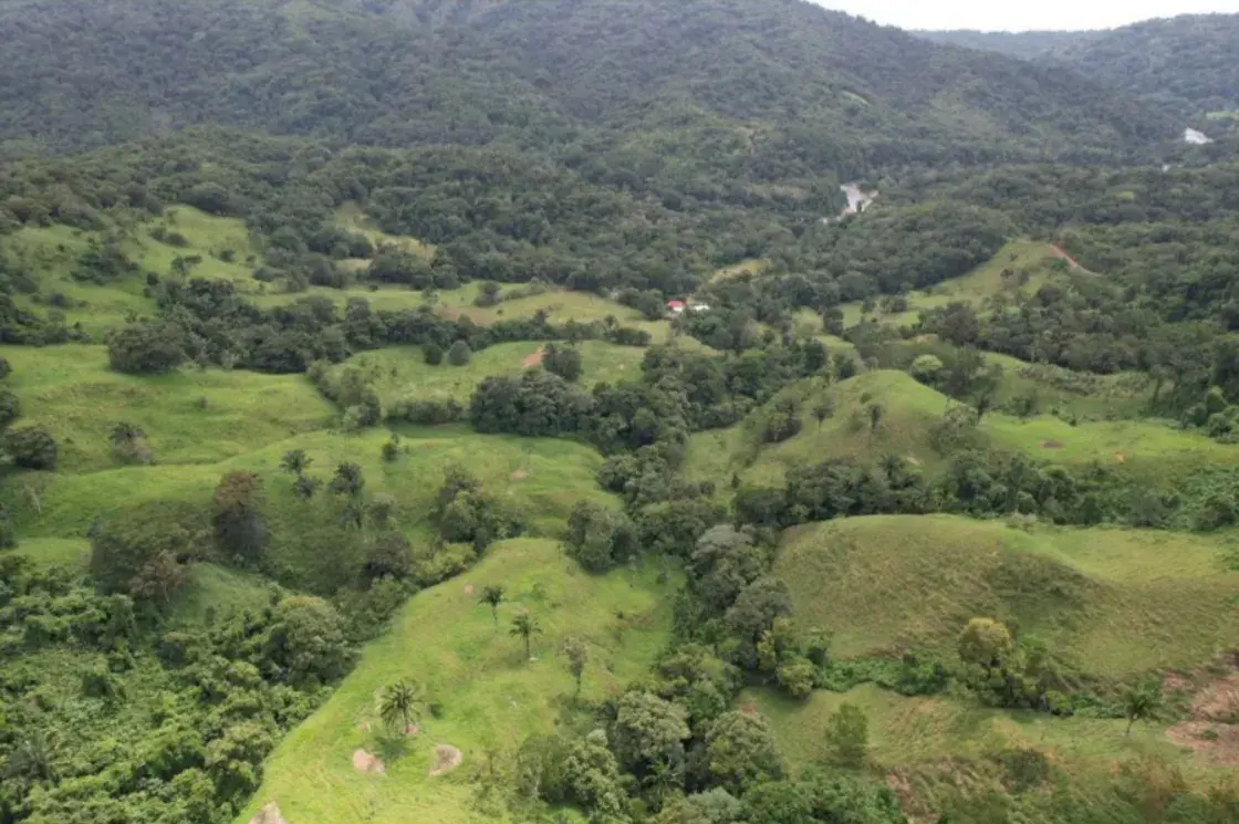 FINCA PARAÍSO NATURAL DE 203 ACRES EN BARU, PÉREZ ZELEDÓN - 3