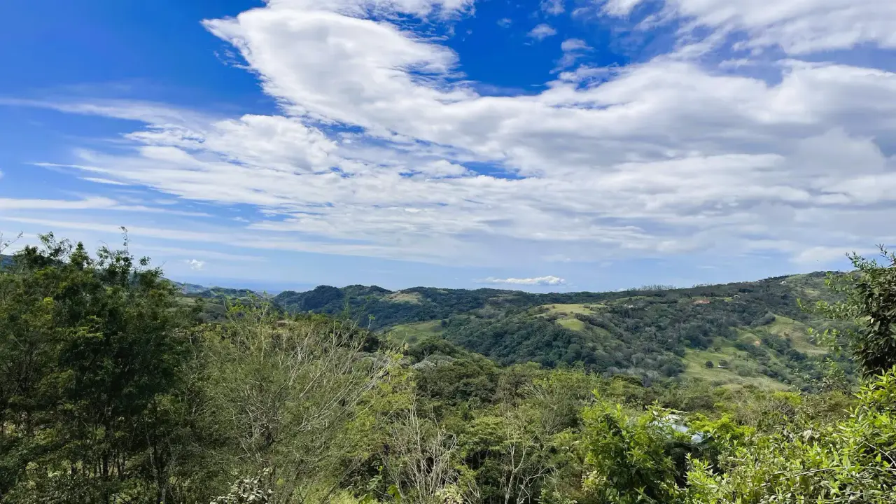 LOTE EN VENTA EN SAN PEDRO, SAN RAMON - 1