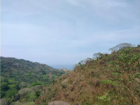 Extraordinary property with enormous potential in Tarcoles - 4