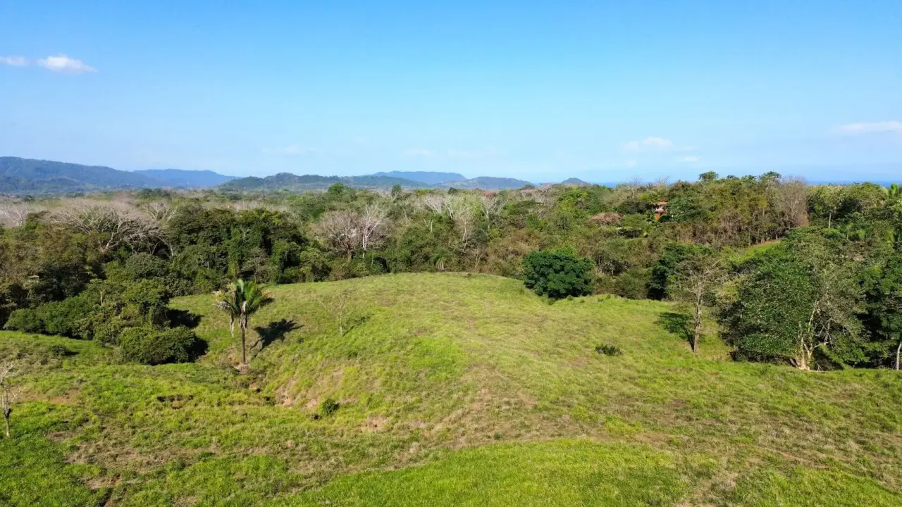 Exceptional 32-Hectare Finca for Sale Near Santa Teresa, Costa Rica – $12.50/m² - 2