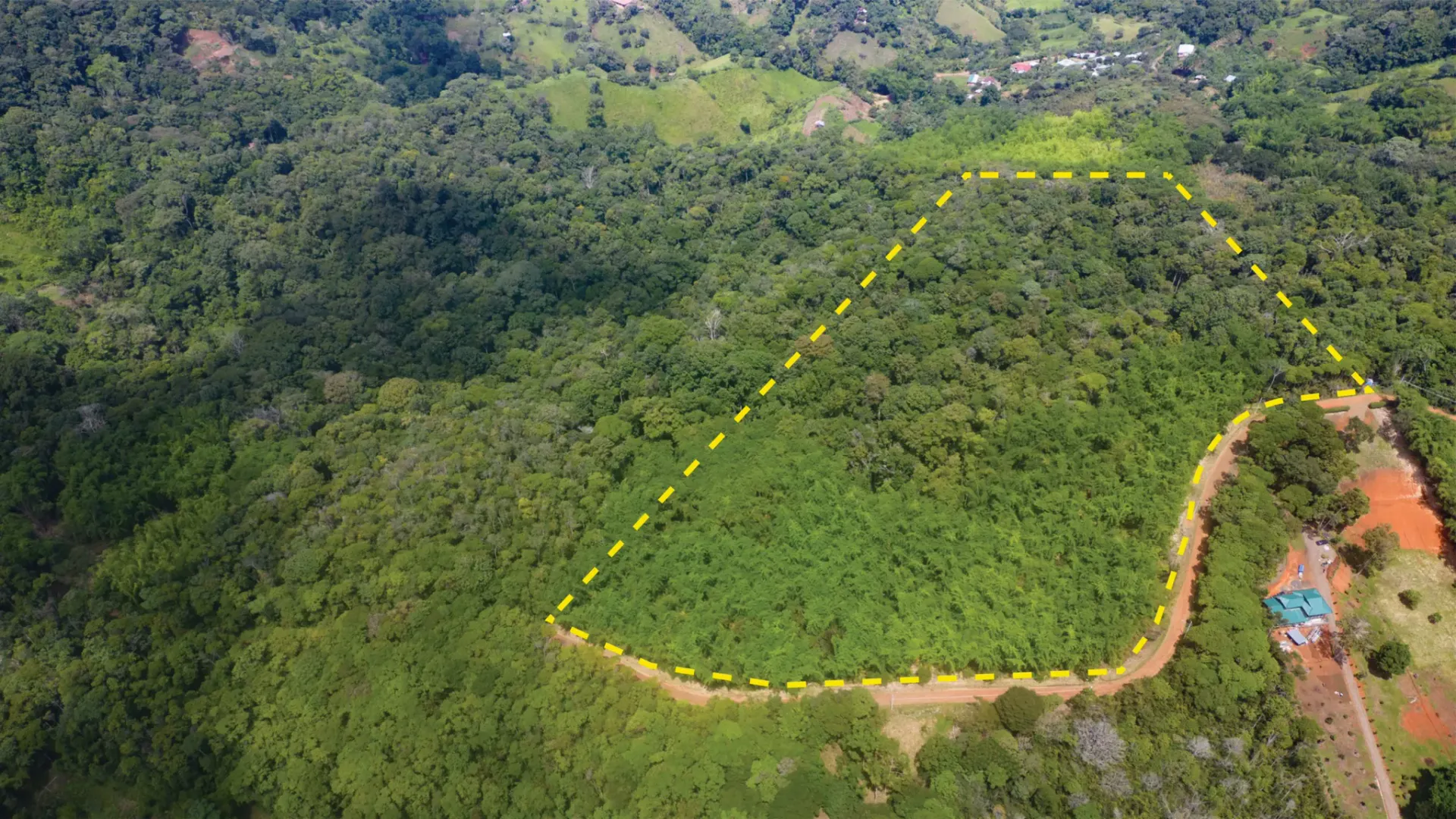 BAMBOO AND FOREST PROPERTY #2 IN PEREZ ZELEDON, COSTA RICA - main