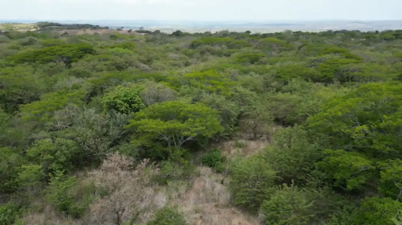 6.5 Hectare Lot with Private Access and Panoramic Views in Guanacaste - 3