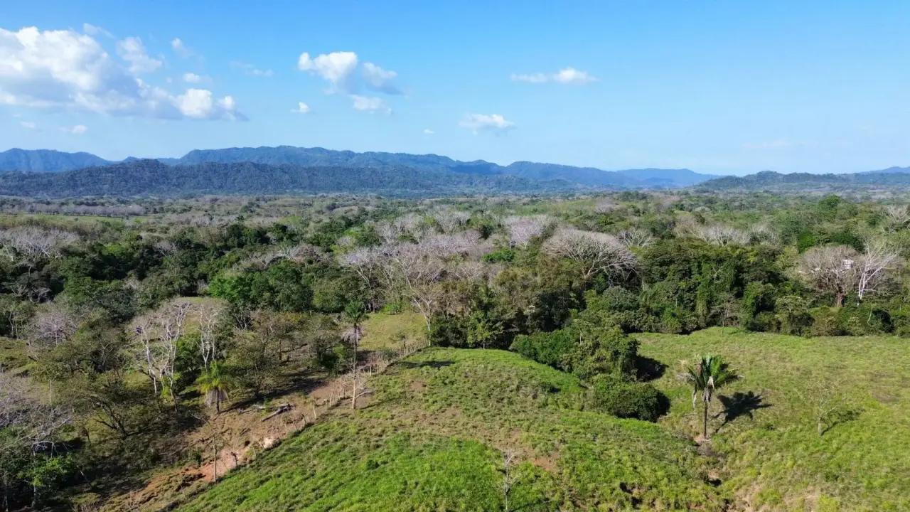 Exceptional 32-Hectare Finca for Sale Near Santa Teresa, Costa Rica – $12.50/m² - 1