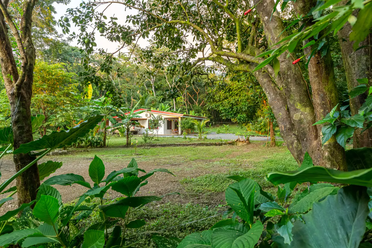 Family Estate in Mal País | Walk to the Beach, Ocean Views & Tropical Gardens  - 4