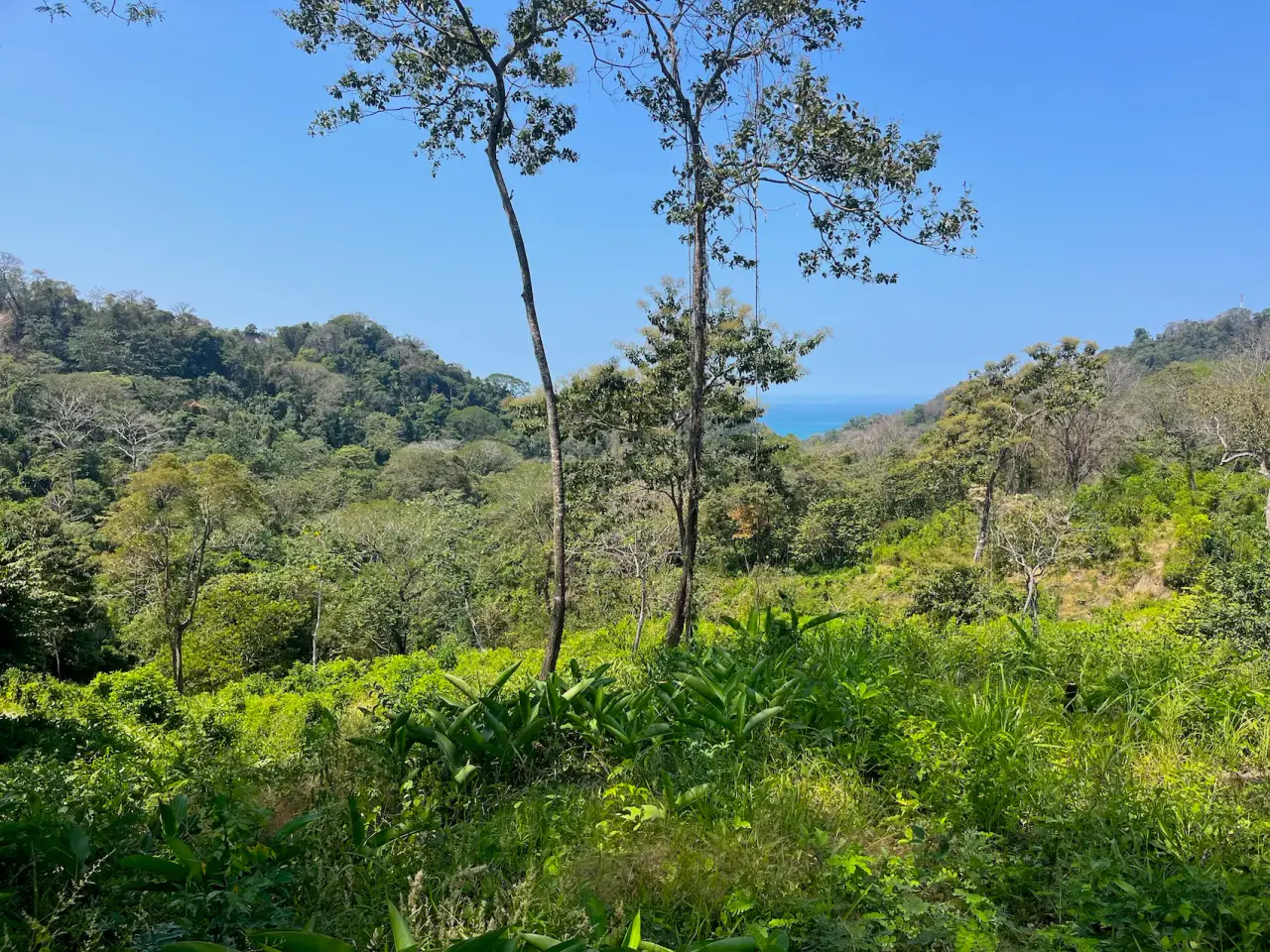 10,000m² Ocean-View Lot in Gated Community – 15 Minutes from Santa Teresa - 5