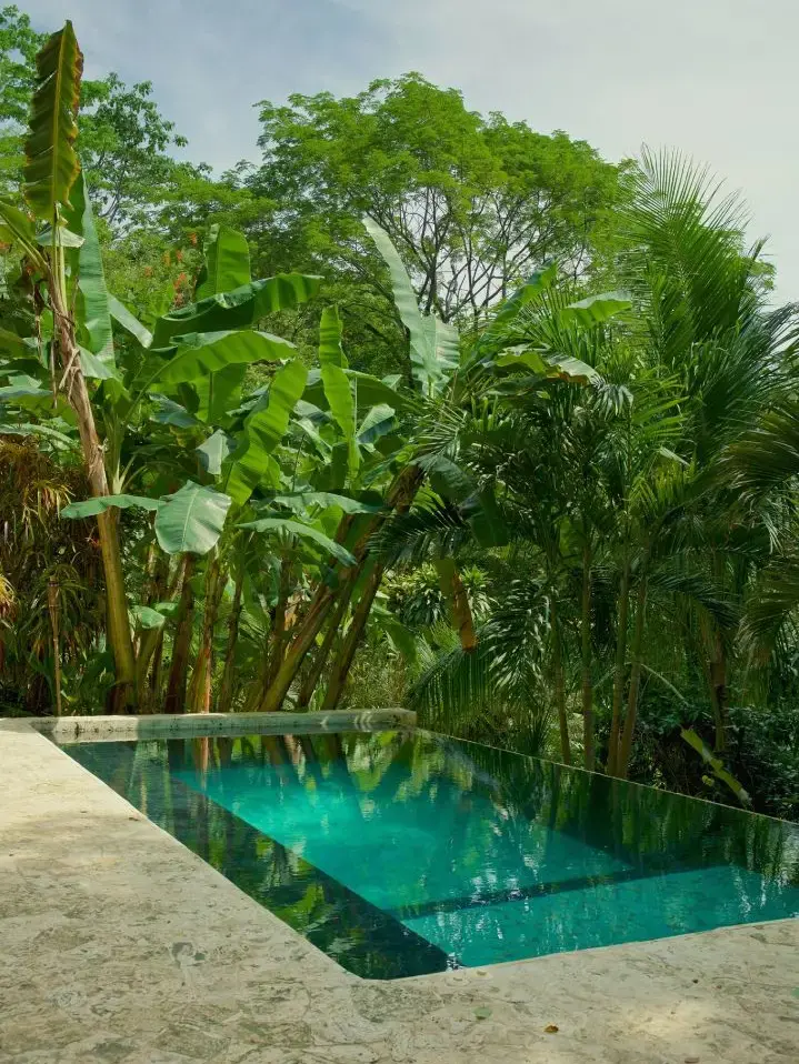 3 Independent Units, Pool & Tropical Gardens steps to the Beach in Mal País and minutes to Santa Teresa - 5