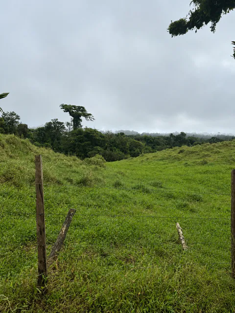 Expansive Agricultural Farm in Parcelas de Zapotal, San Ramón, Alajuela