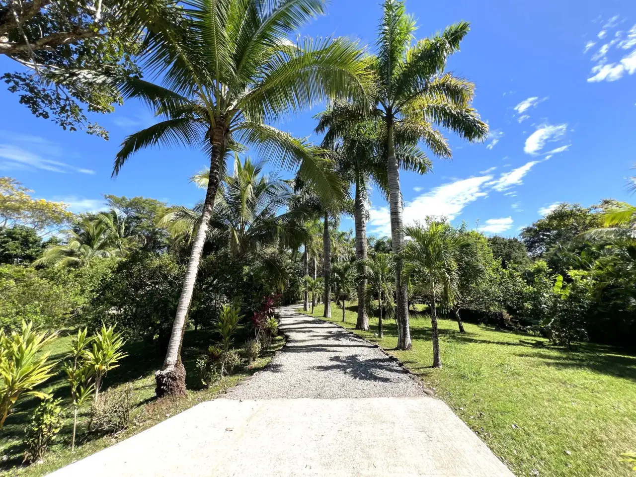 Villa Palma Royal Exclusive Private Estate with Modern Luxury and Natural Charm with horse stables in Las Delicias Santa Teresa - 4