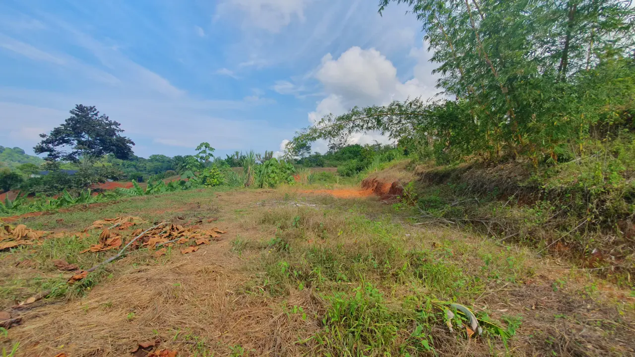PEACEFUL AND PRIVATE LAND IN PUNTA MALA, OJOCHAL - 5
