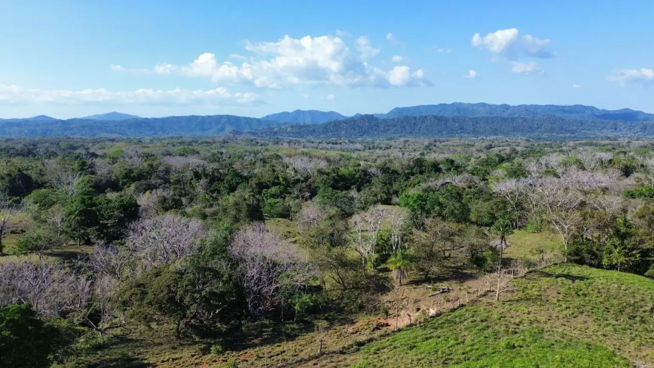Exceptional 32-Hectare Finca for Sale Near Santa Teresa, Costa Rica – $12.50/m² - 5