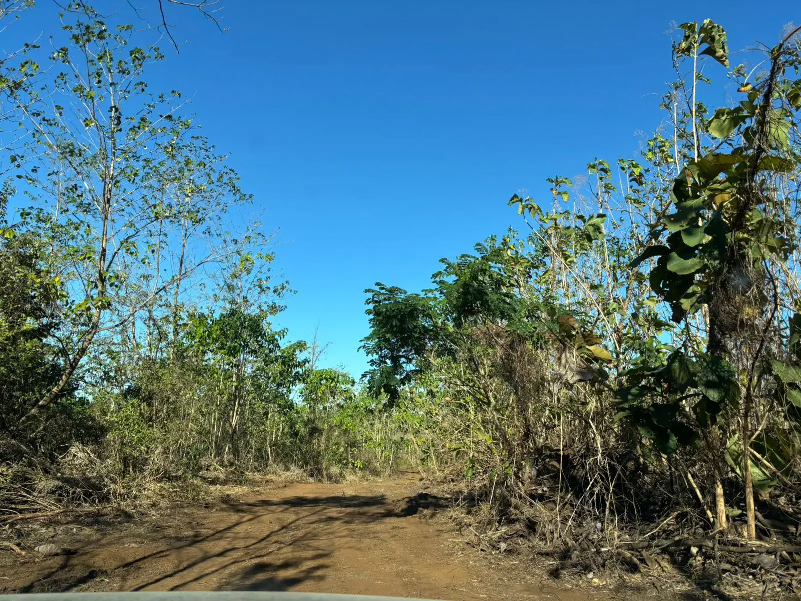 Expansive 4.2 Hectare Farm & Land in San Martín, Nicoya, Guanacaste – A Costa Rican Dream - main