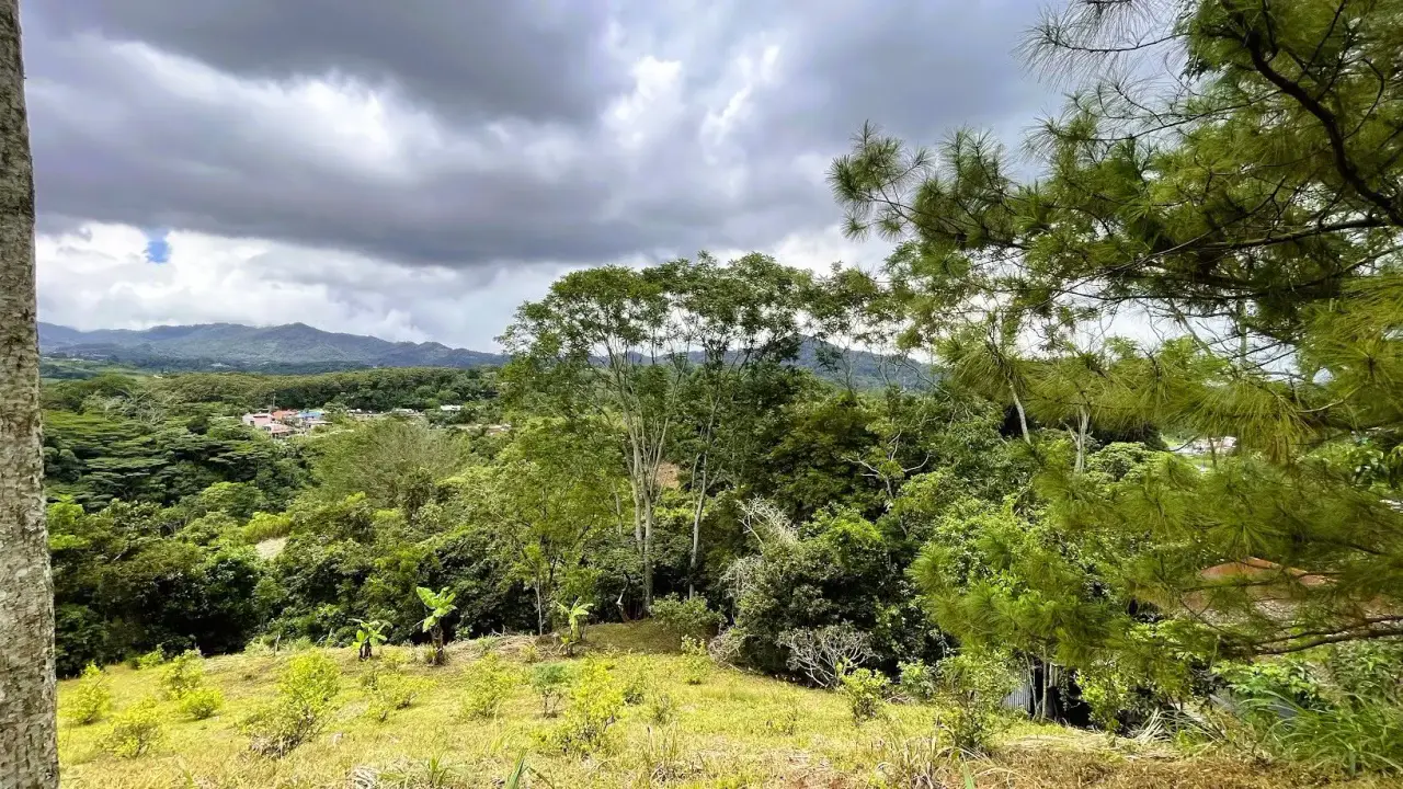 COMMERCIAL LOT FOR SALE IN SAN MIGUEL, NARANJO - 3