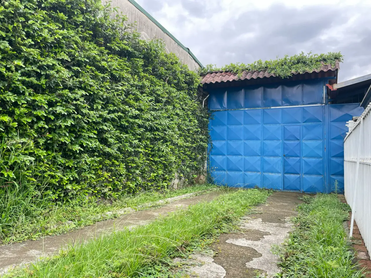 Bodega y propiedad de uso mixto en venta en Desamparados - 4