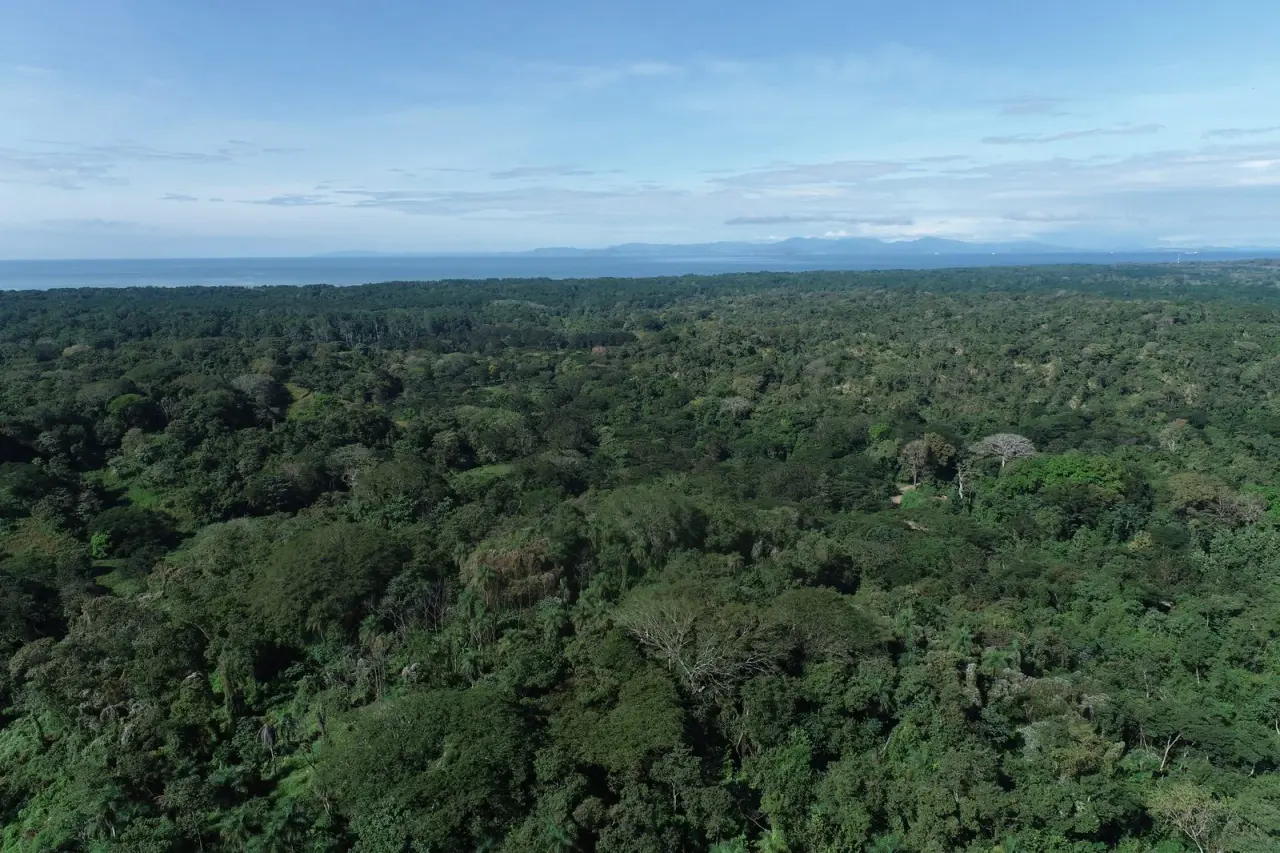 Exclusive Tarcoles Land: Panoramic Views and Stunning Sunsets - 2