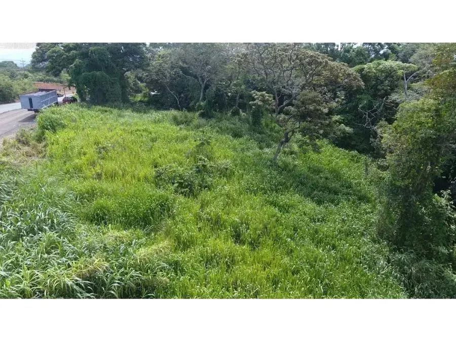 Selling a large lot in La Garita, Alajuela - 5