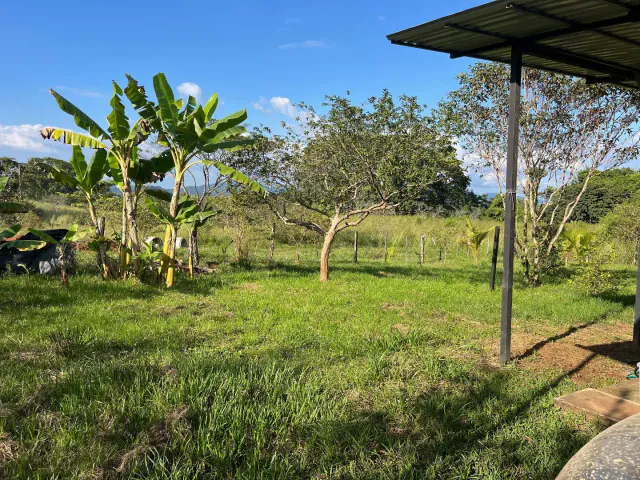 Two  New Homes in Delicias Near Santa Teresa, Montezuma and Cabuya 