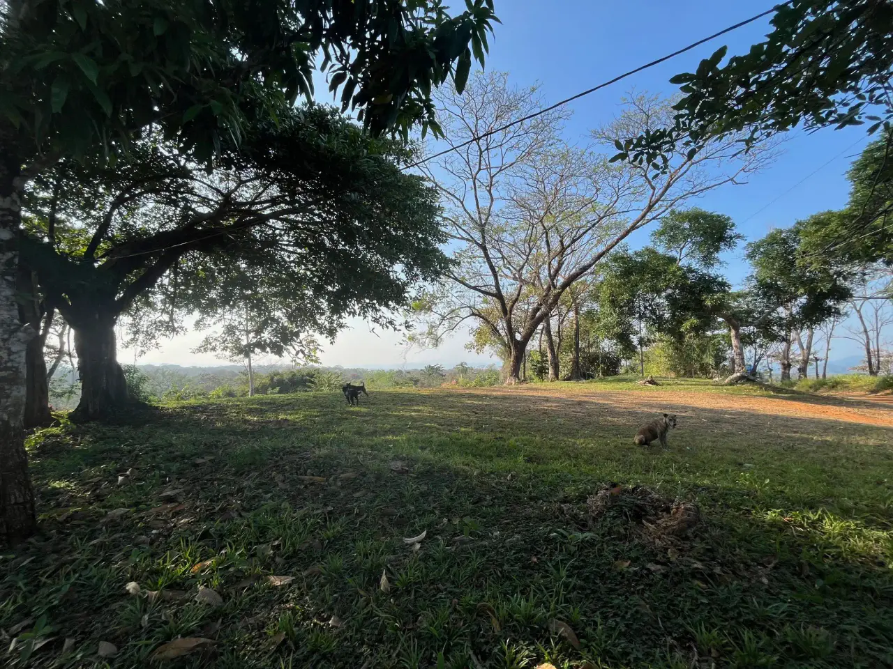 11.000 m² de hermoso terreno con vista al mar – Uso residencial y comercial en Santiago - 2
