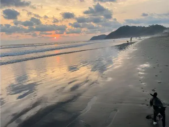 Jaco Prime Oceanfront Hotel - 2