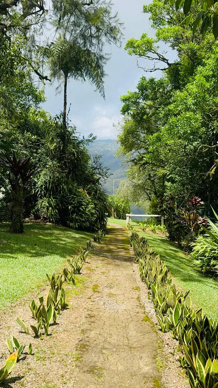Retiro Campestre Extenso: Naturaleza Exuberante y Encanto Rústico en El Guarco - 4