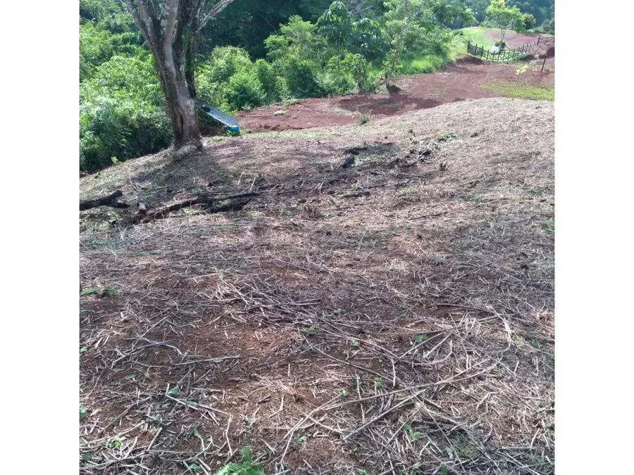 Beautiful Plot Of Land In Bijagual - 3