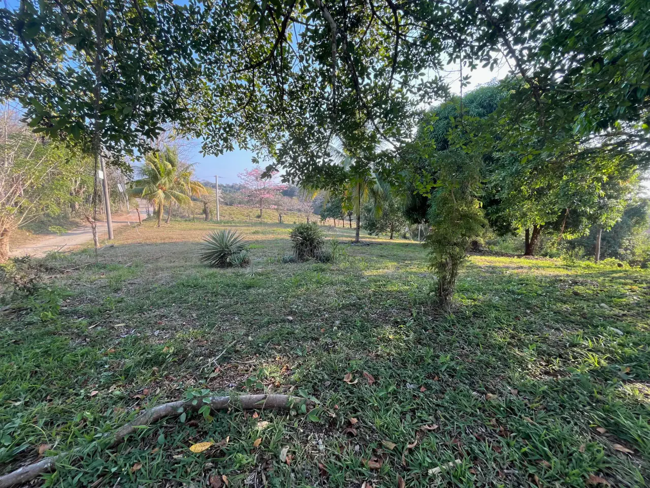 11.000 m² de hermoso terreno con vista al mar – Uso residencial y comercial en Santiago - 5