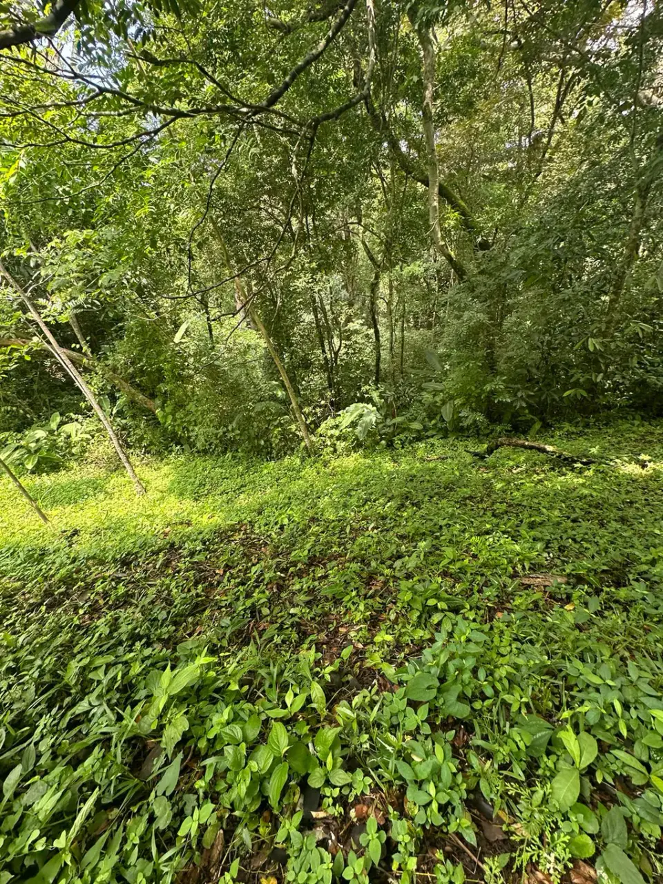Build Your Future in Turrubares: Nature, Development, and Quality of Life - 5