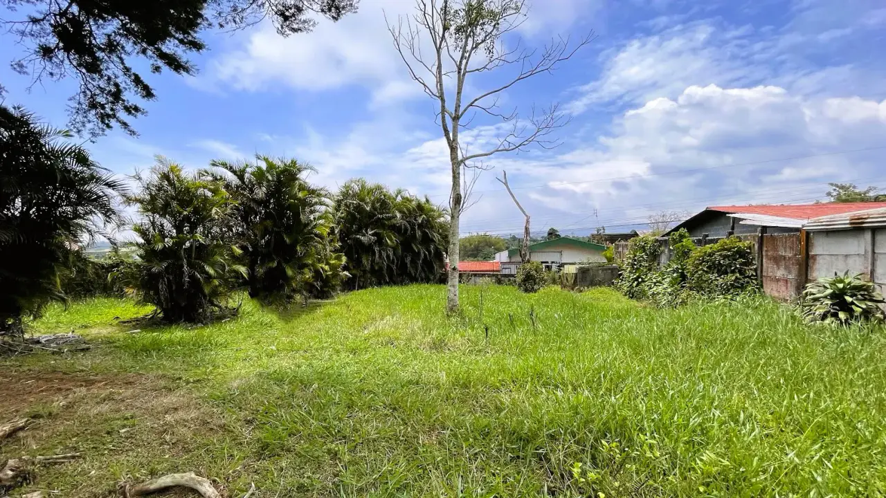 LOT FOR SALE IN SAN ISIDRO, SAN RAMON - 2