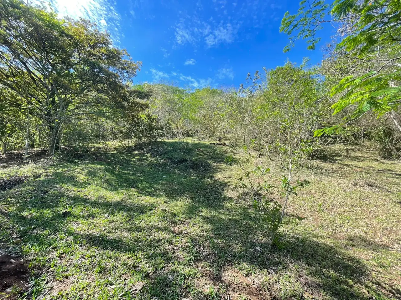 For Sale: Land for Development in Santa Ana - 5