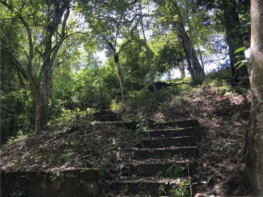 Lot in La Guácima, Alajuela, surrounded by nature and urban growth. - 5