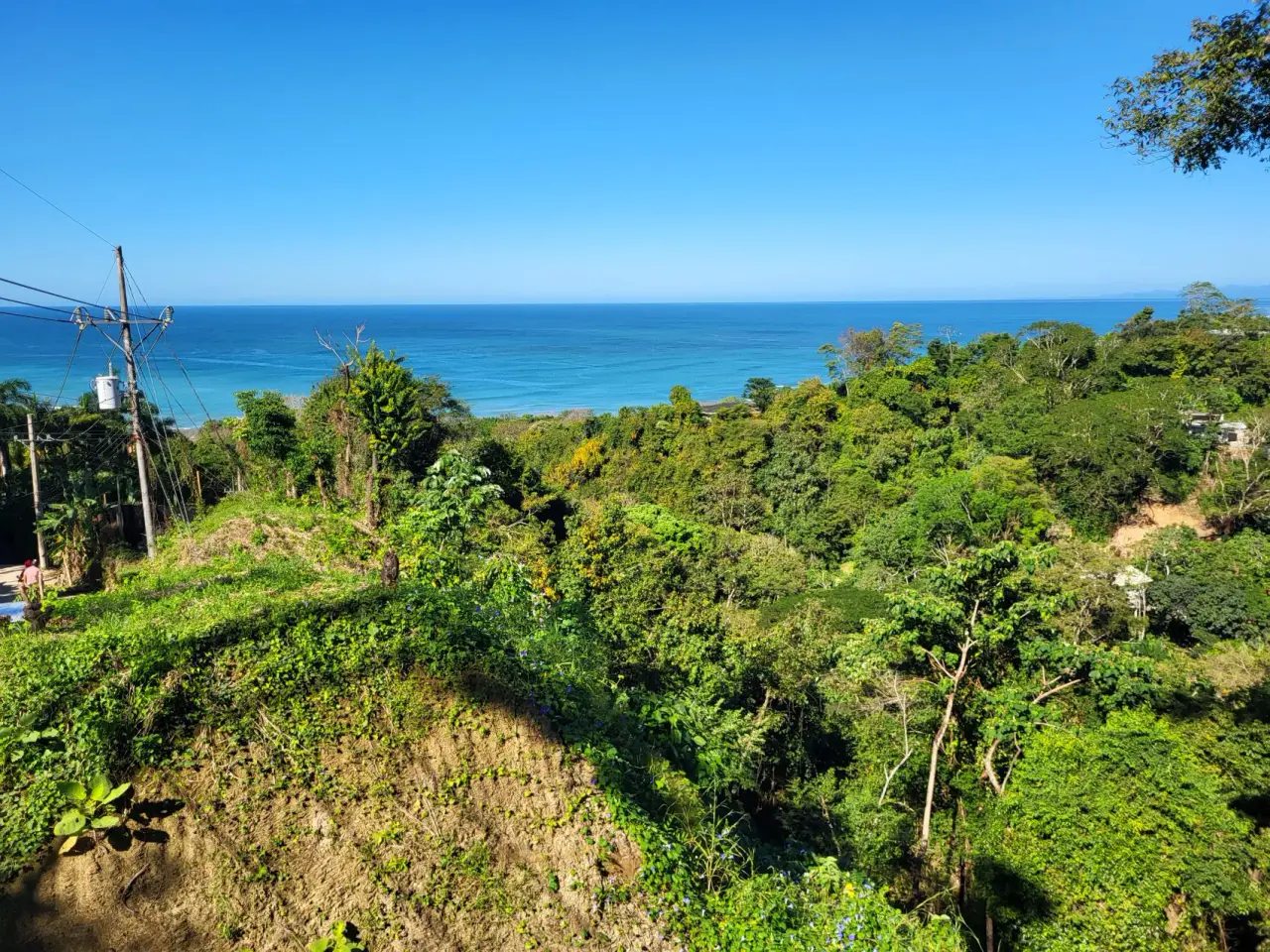 Beautiful 1.8 (18,000 m2) Hectare Mountainside Ocean View Lot in Mal Pais - 5