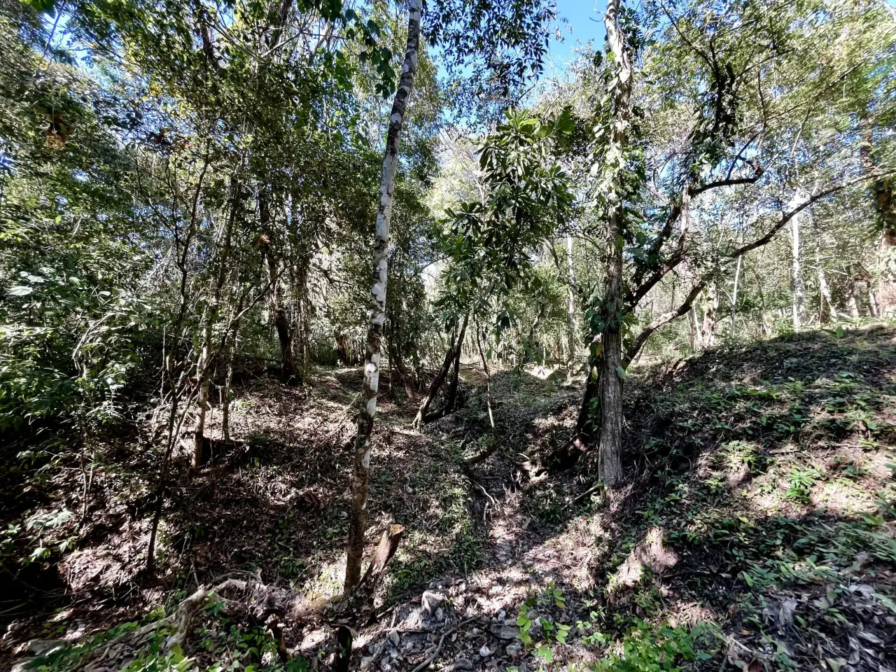 Invest in Nature: Private 5,000 m² Jungle Lots In Mal Pais Minutes from the Beach - 3