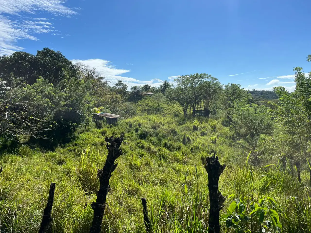 Prime 2354 m2 Commercial and Residential Land in San Isidro only 5 minutes from Santa Teresa - 2
