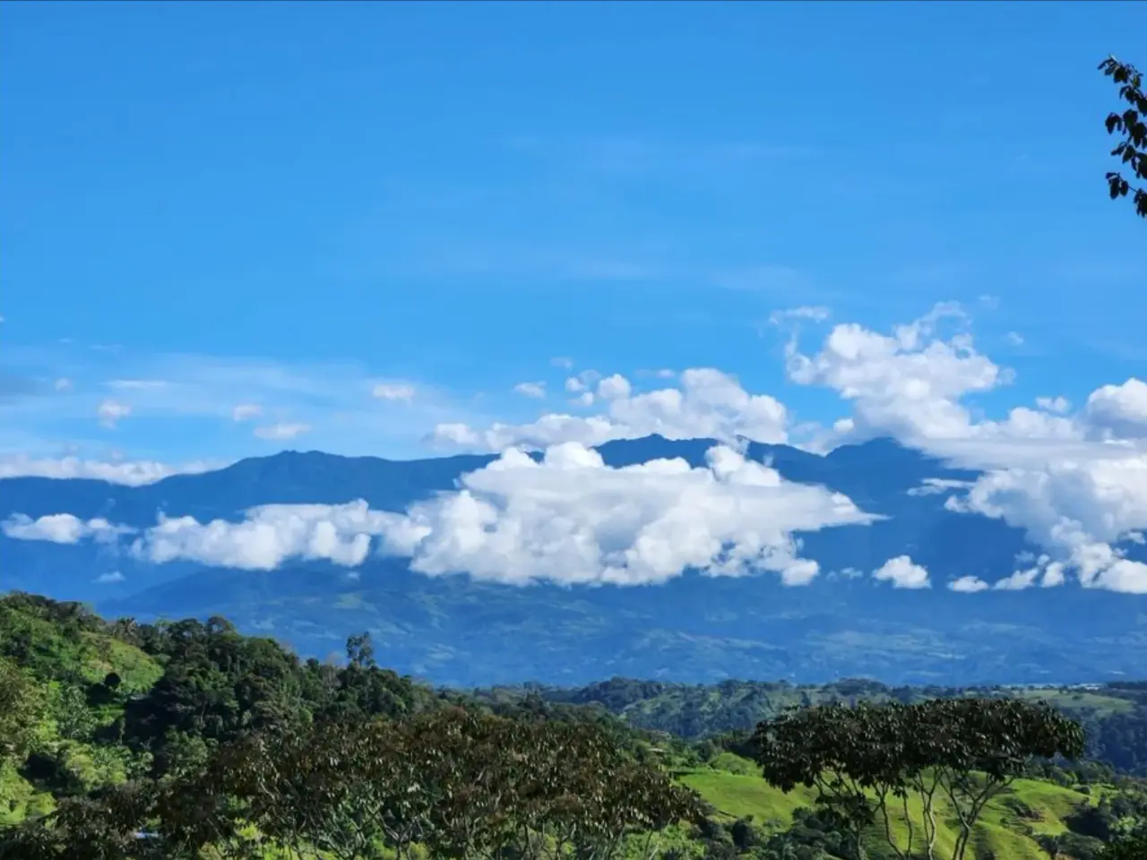 FINCA Y CASA CON VISTA A LA MONTAÑA EN PACUARITO, PÉREZ ZELEDÓN - 2
