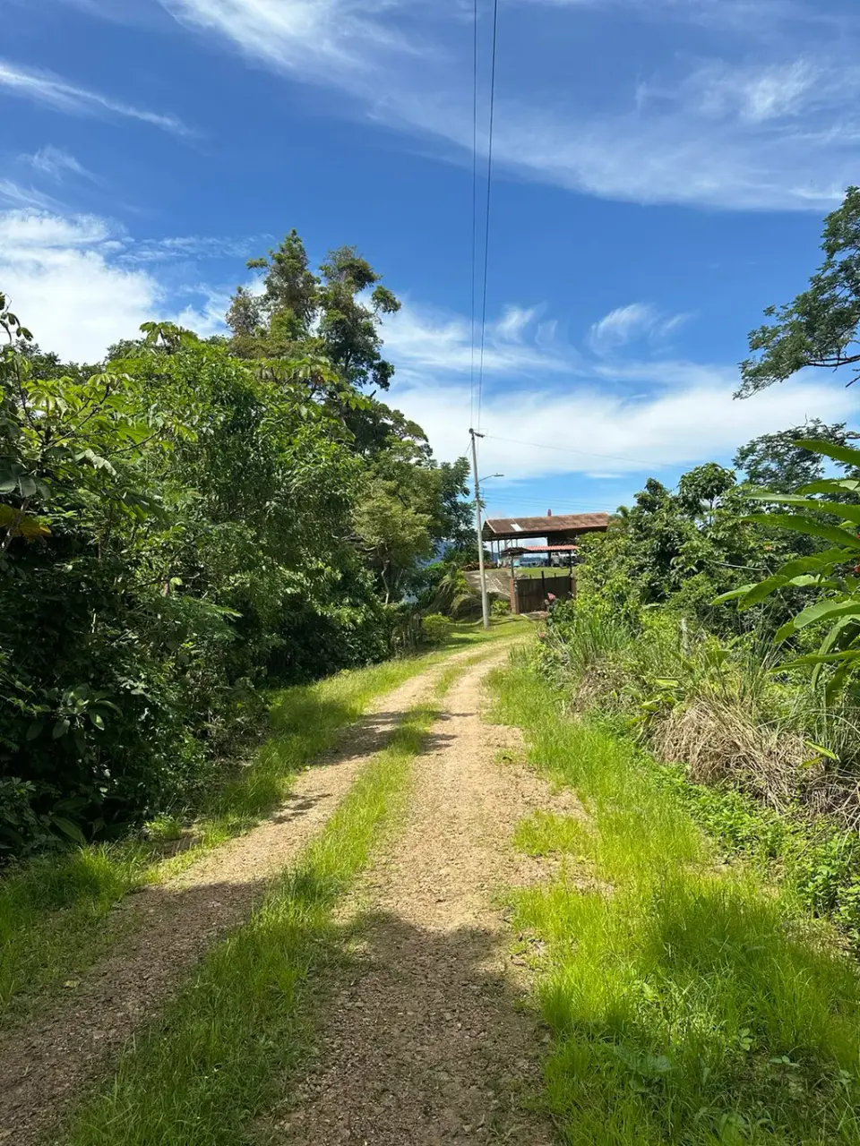 Build Your Future in Turrubares: Nature, Development, and Quality of Life - 2