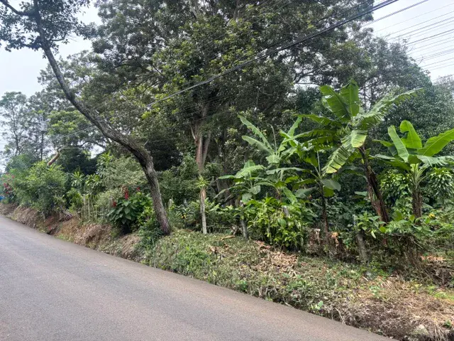 8223 m² Land in Atenas, Alajuela: Private Development in Natural Surroundings - 5