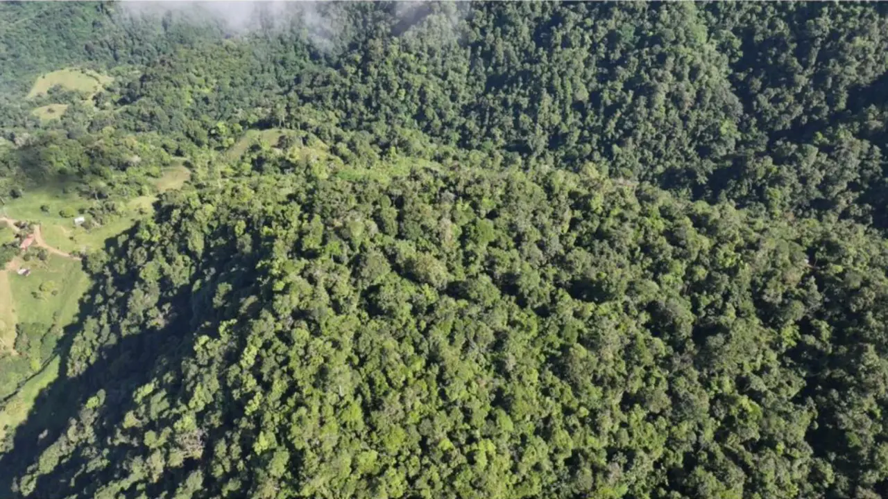 PARADISIACAL 335 ACRES PROPERTY WITH OCEAN VIEW TO UVITA, PUNTARENAS - 1