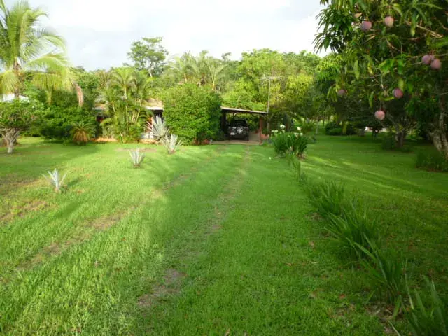 Expansive 11380 sqm Lot in Orotina, Alajuela - Prime Land for Development or Private Estate - 5