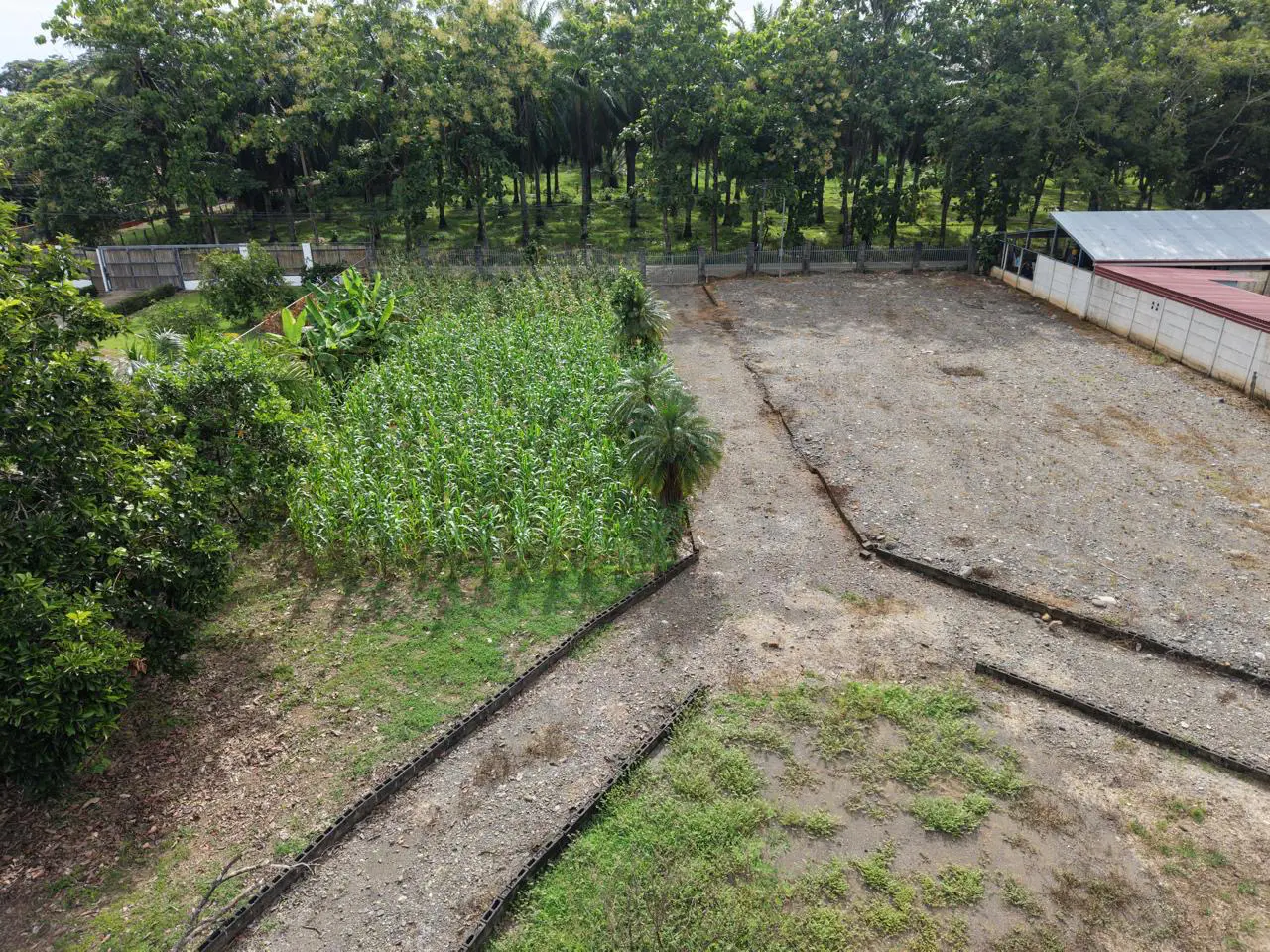 Lot for Sale in Los Ángeles de Parrita: 5027 m² to Develop Your Ideal Project - 3