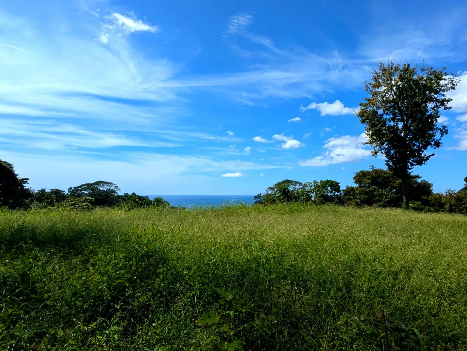 Ocean View Lot in Mal Pais - main