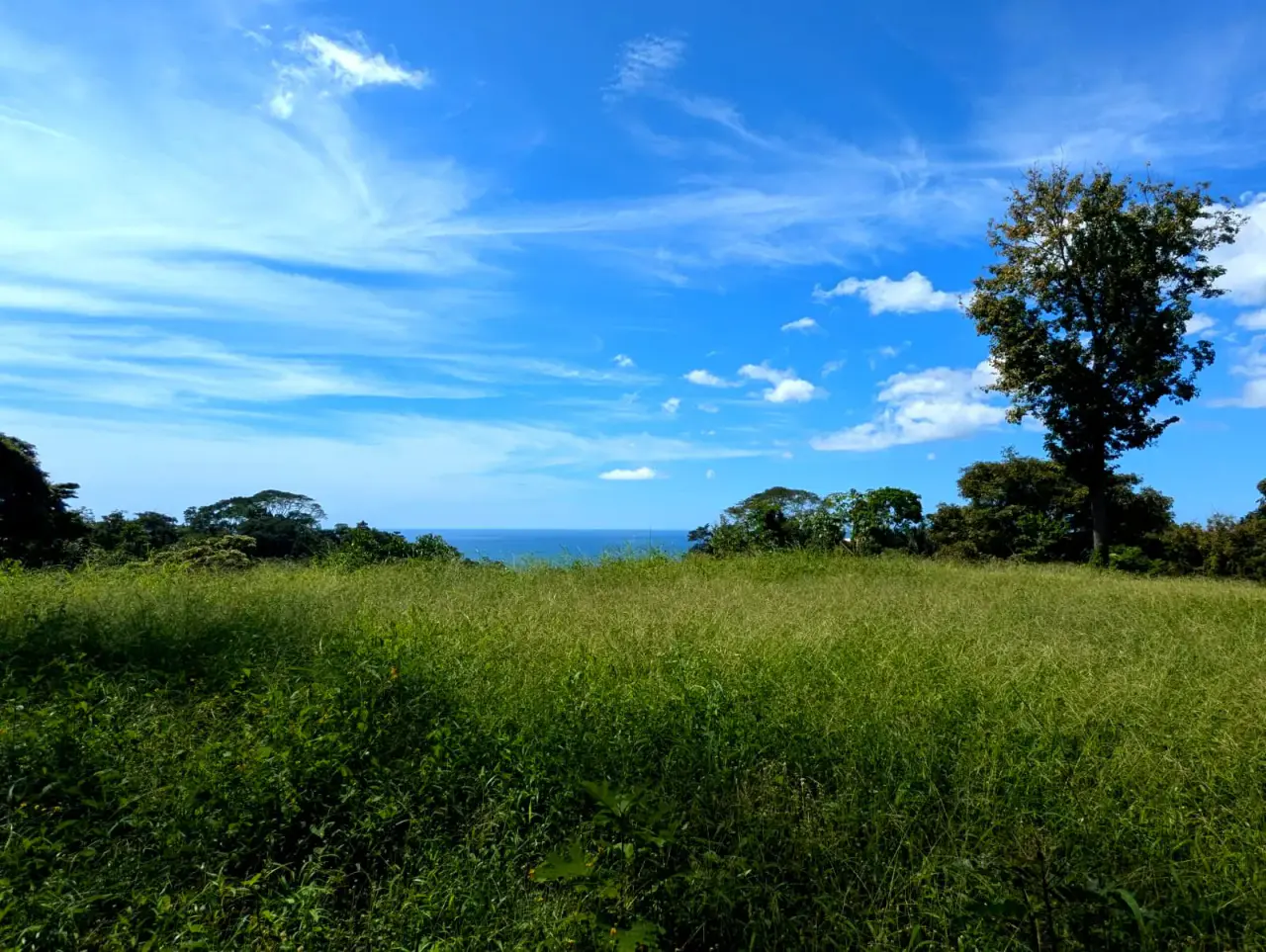 Ocean View Lot in Mal Pais - 1
