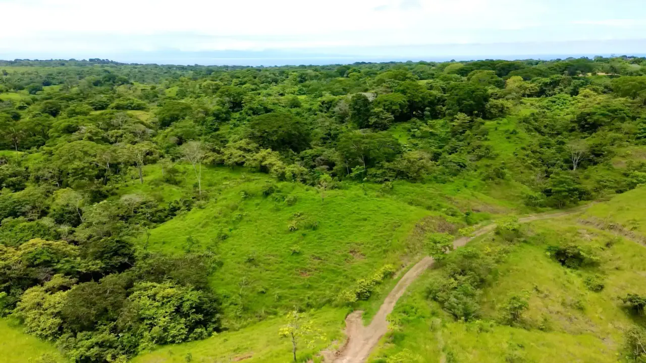 Modern Green Living in a Gated Community in Santa Teresa, Costa Rica - Lots start at $110K - 4