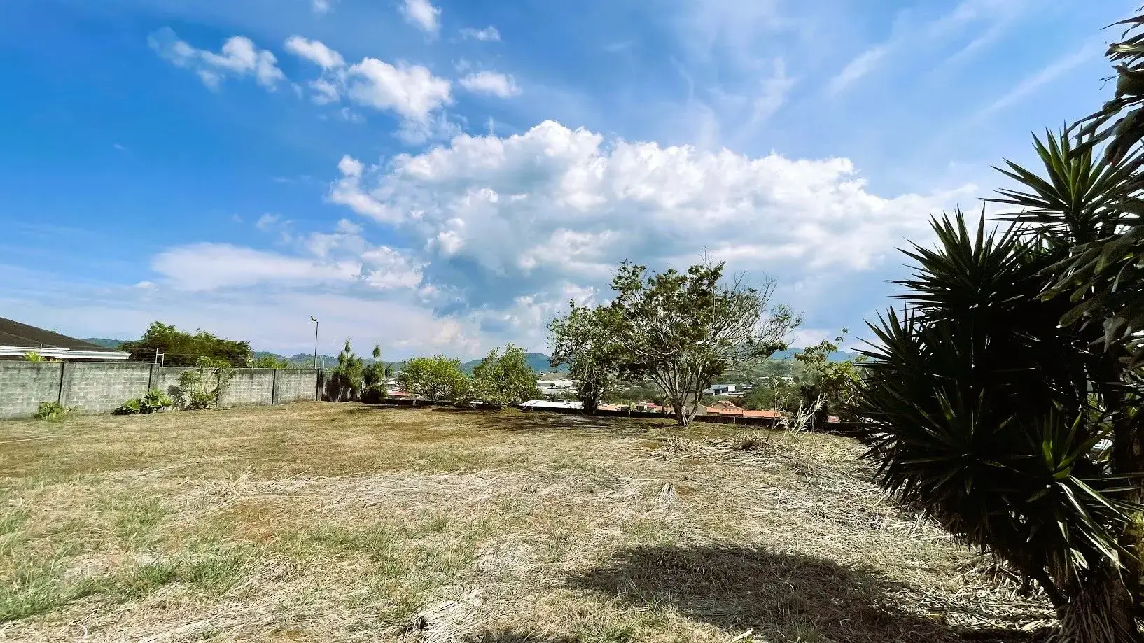 SPACIOUS LAND FOR SALE IN SAN PEDRO, SAN RAMÓN - main