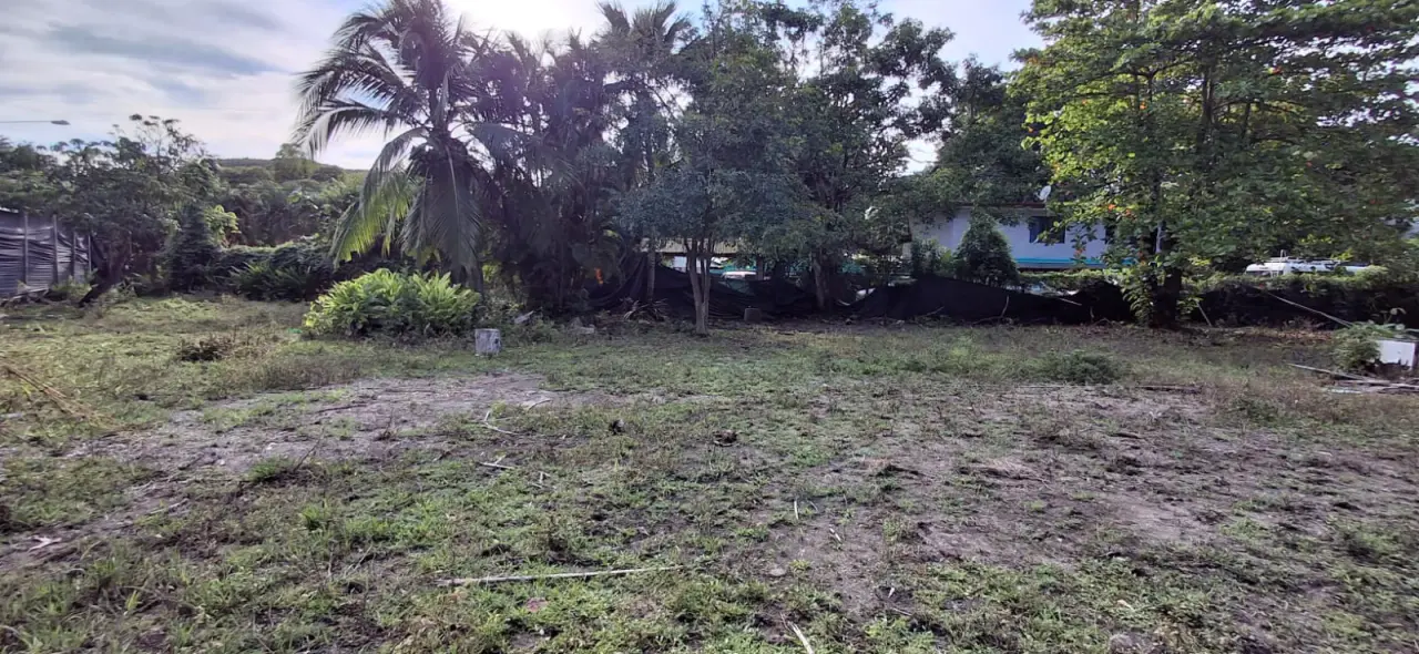 Prime Commercial Corner Lot in the Heart of Malpaís - Walking Distance to the beach  - 4