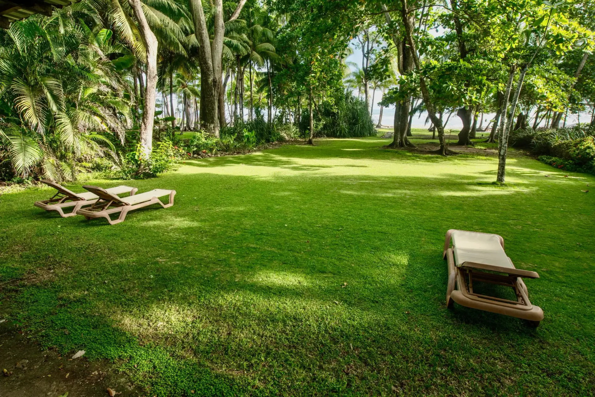 FOR RENT - Oceanfront 3 Bedroom Home with Terrace, Surf & Sunset Views - main