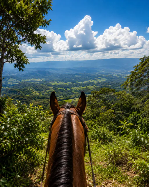 Expansive Scenic Property with Private Pool and Equestrian Facilities in Puriscal