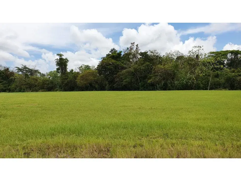 Espectacular lote de 5062 mts en comunidad privada cerca de Playa Hermosa - 4