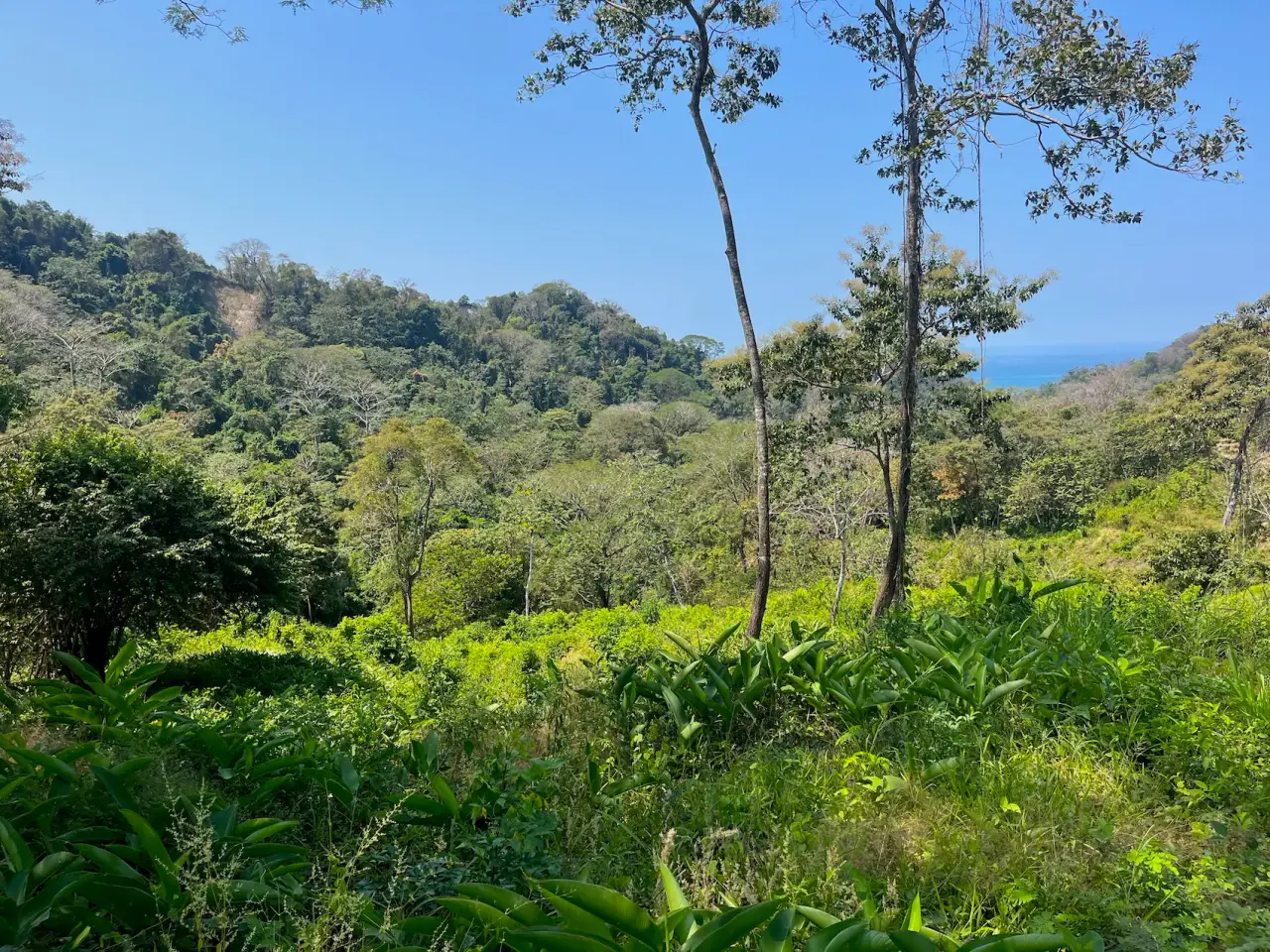 10,000m² Ocean-View Lot in Gated Community – 15 Minutes from Santa Teresa - 2