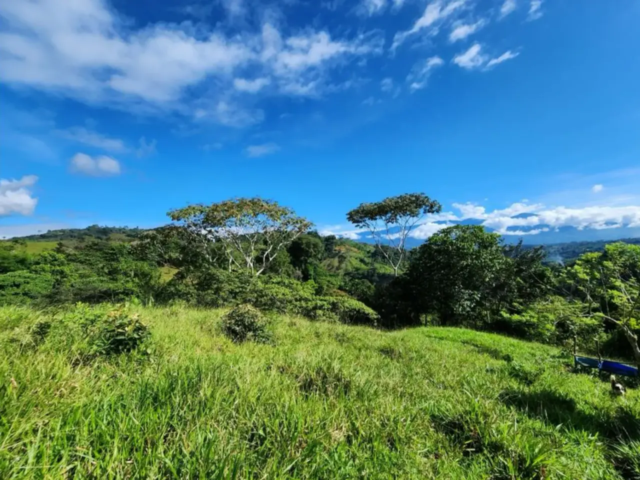 FINCA Y CASA CON VISTA A LA MONTAÑA EN PACUARITO, PÉREZ ZELEDÓN - 5
