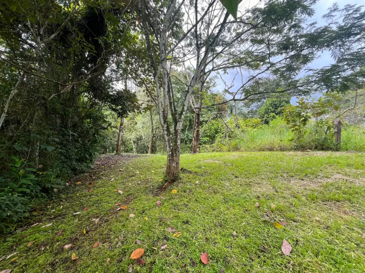 Beautiful Ready to Build Lot in Delicias, Great Price with Project and Permits included - 5